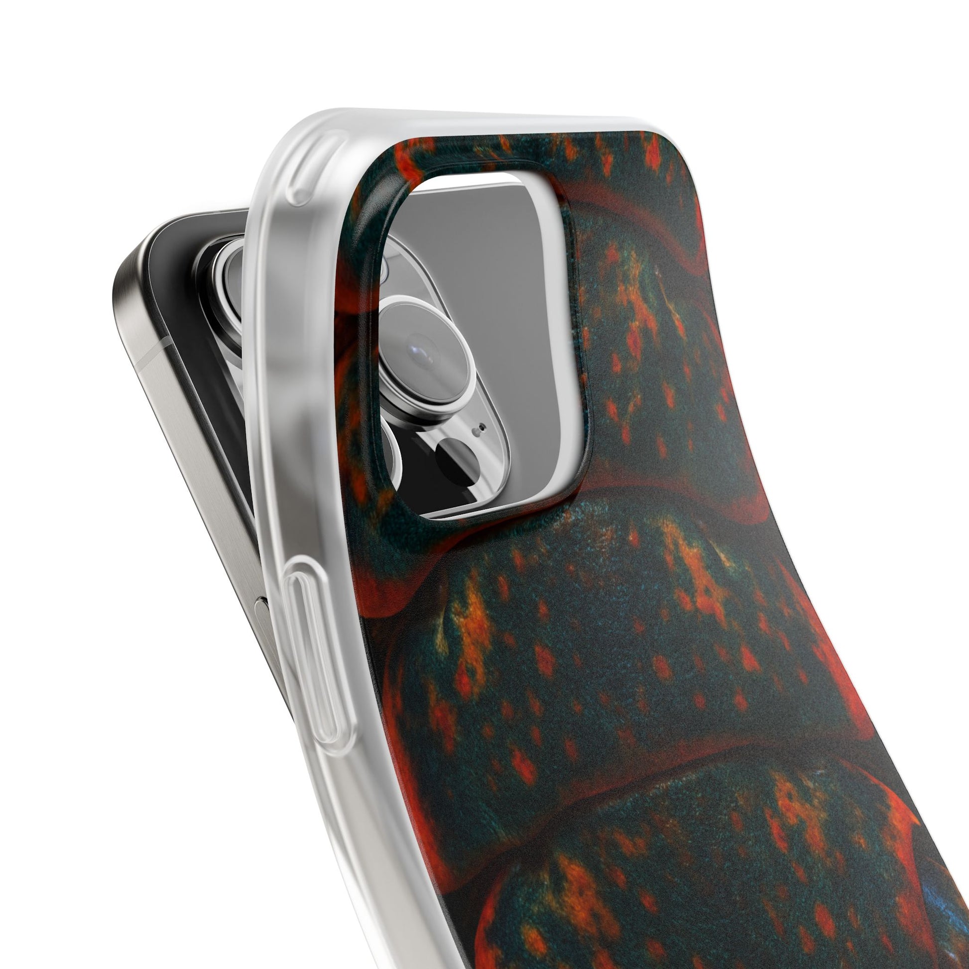 Painted Crayfish Skin's Case