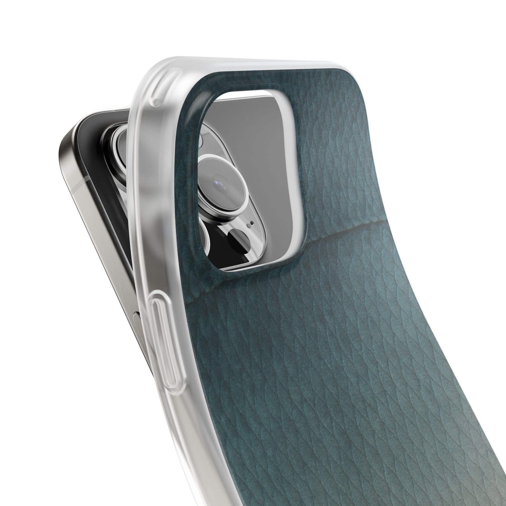 Bluefish Skin's Case