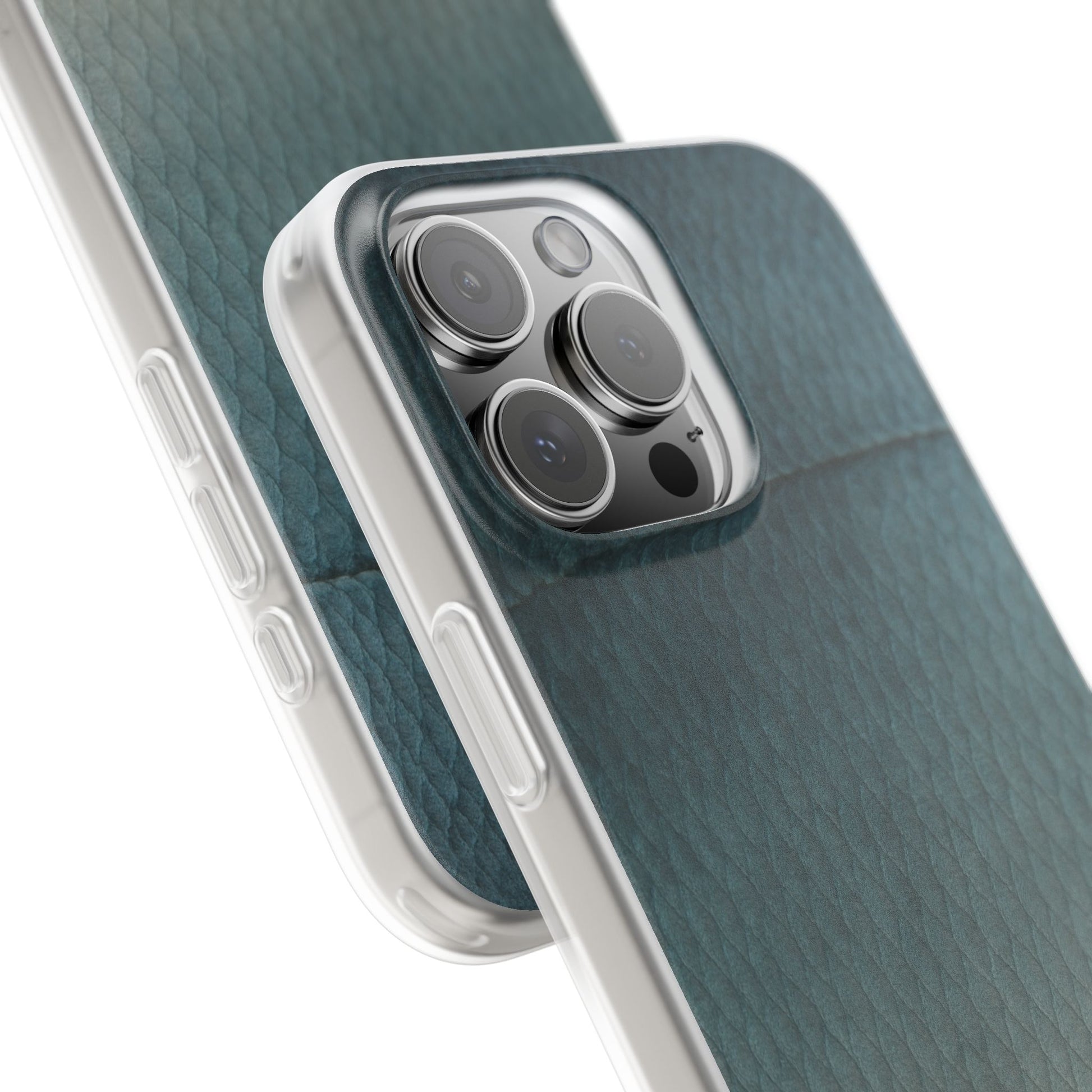 Bluefish Skin's Case