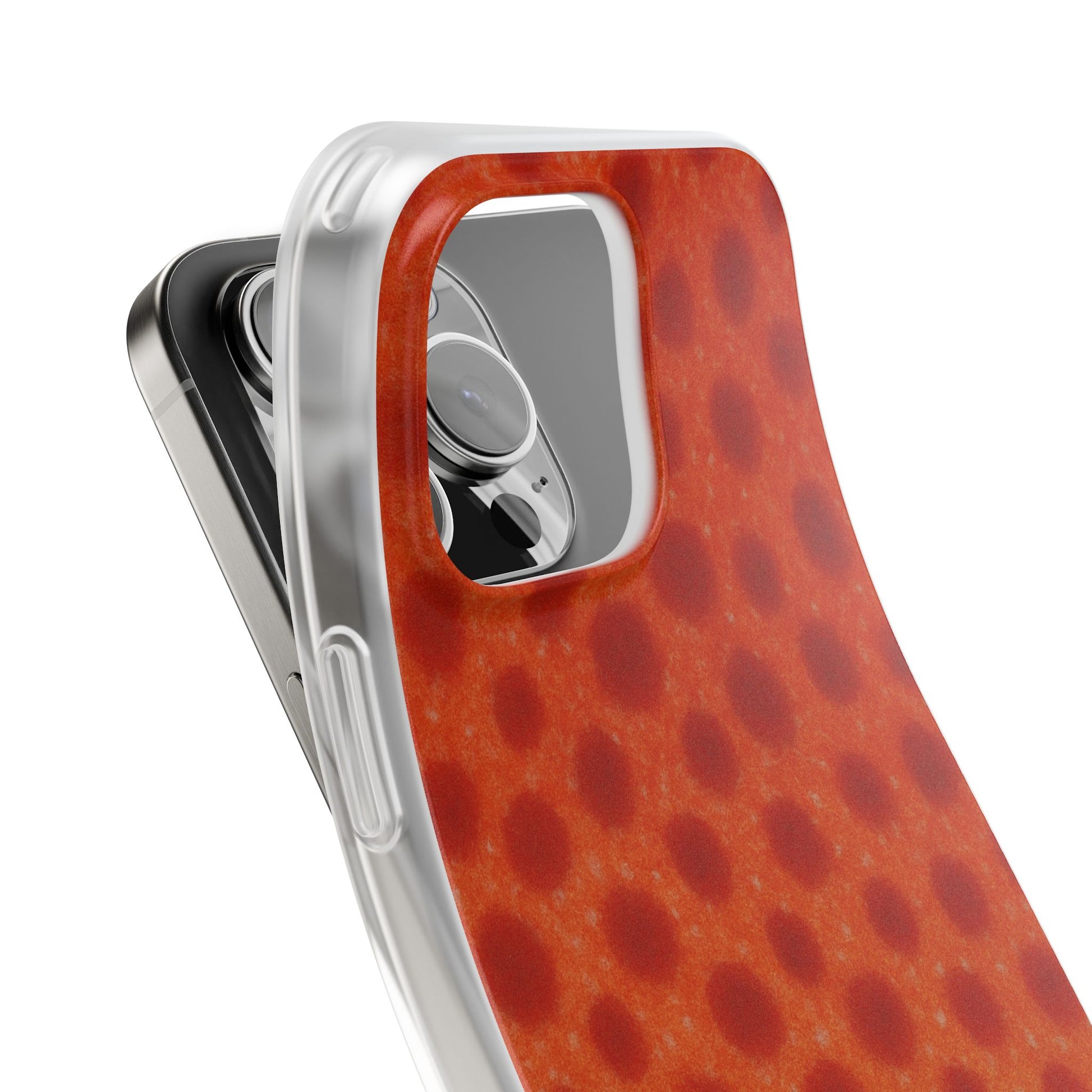 Red Grouper Skin's Case