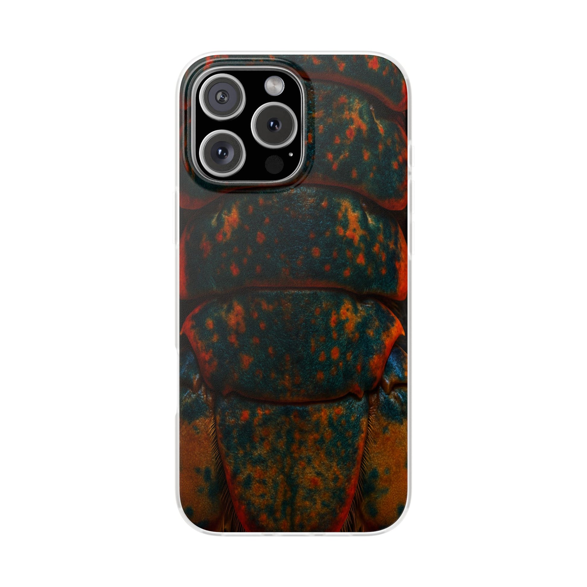 Painted Crayfish Skin's Case