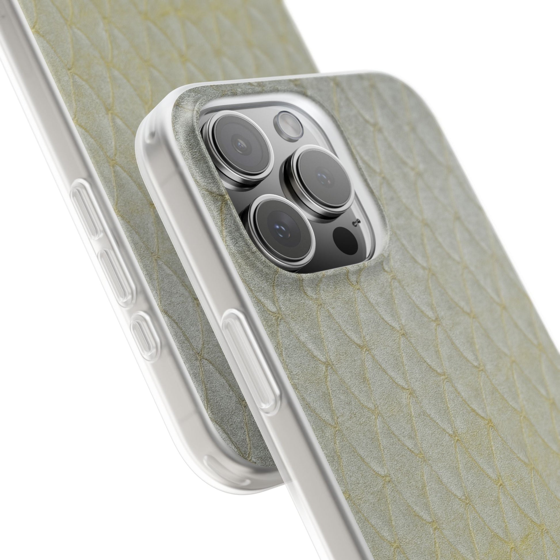 Pompano Skin's Case