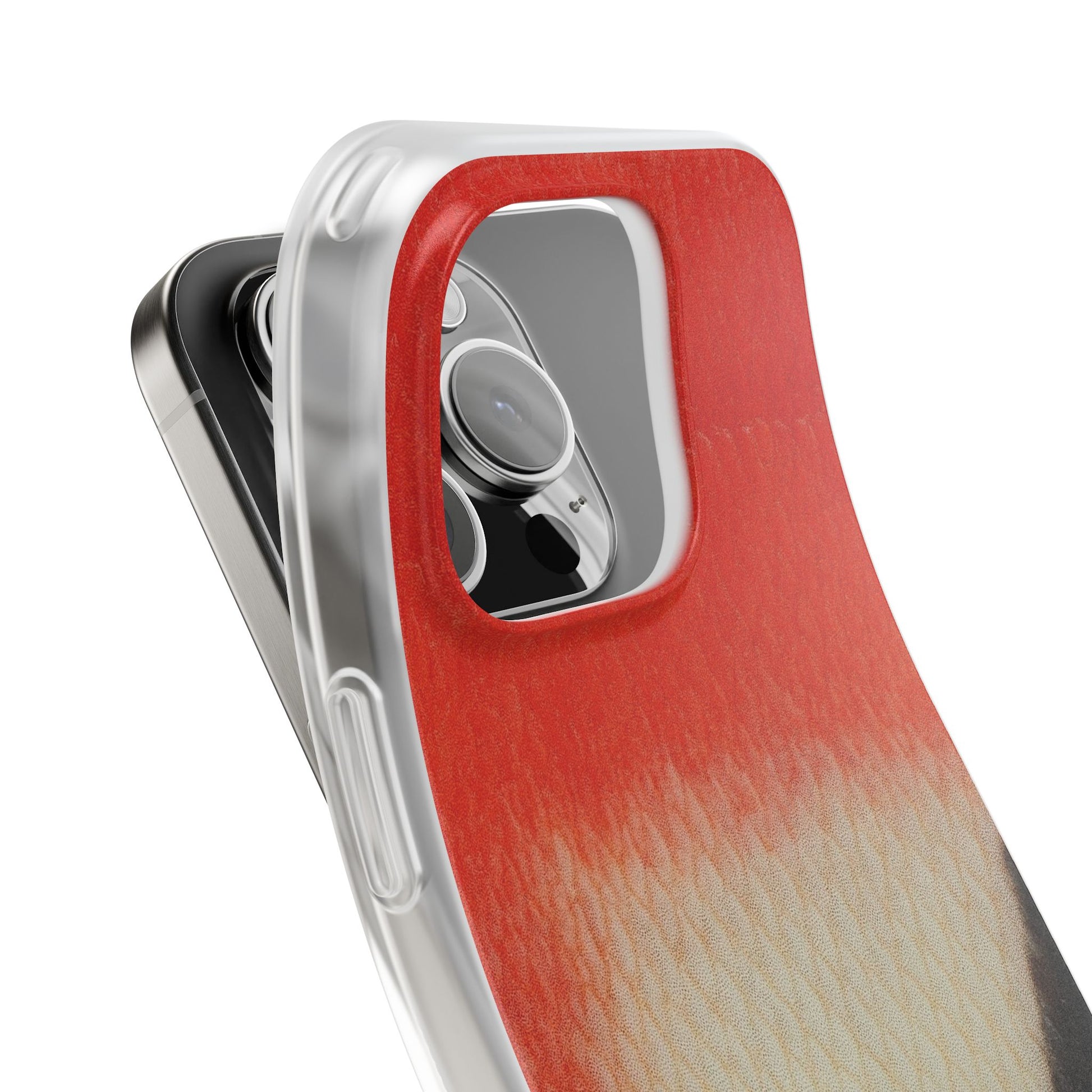Sheepshead Skin,s Case