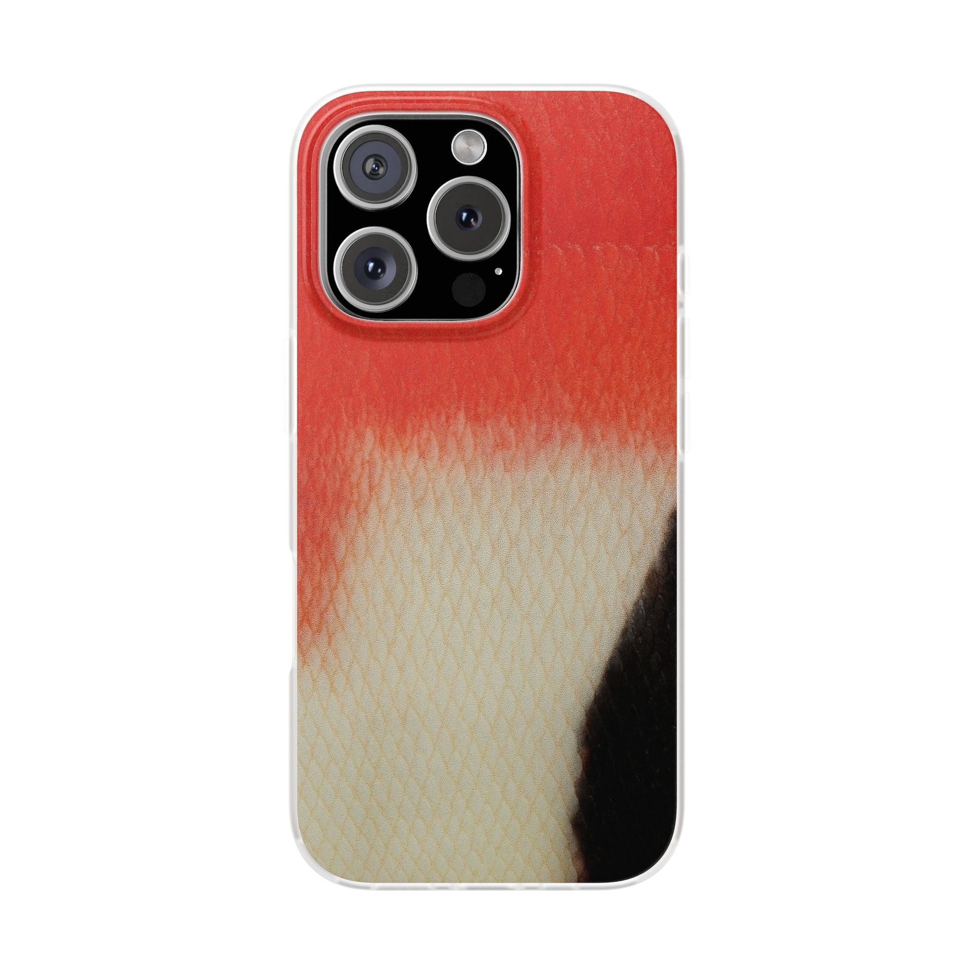 Sheepshead Skin,s Case