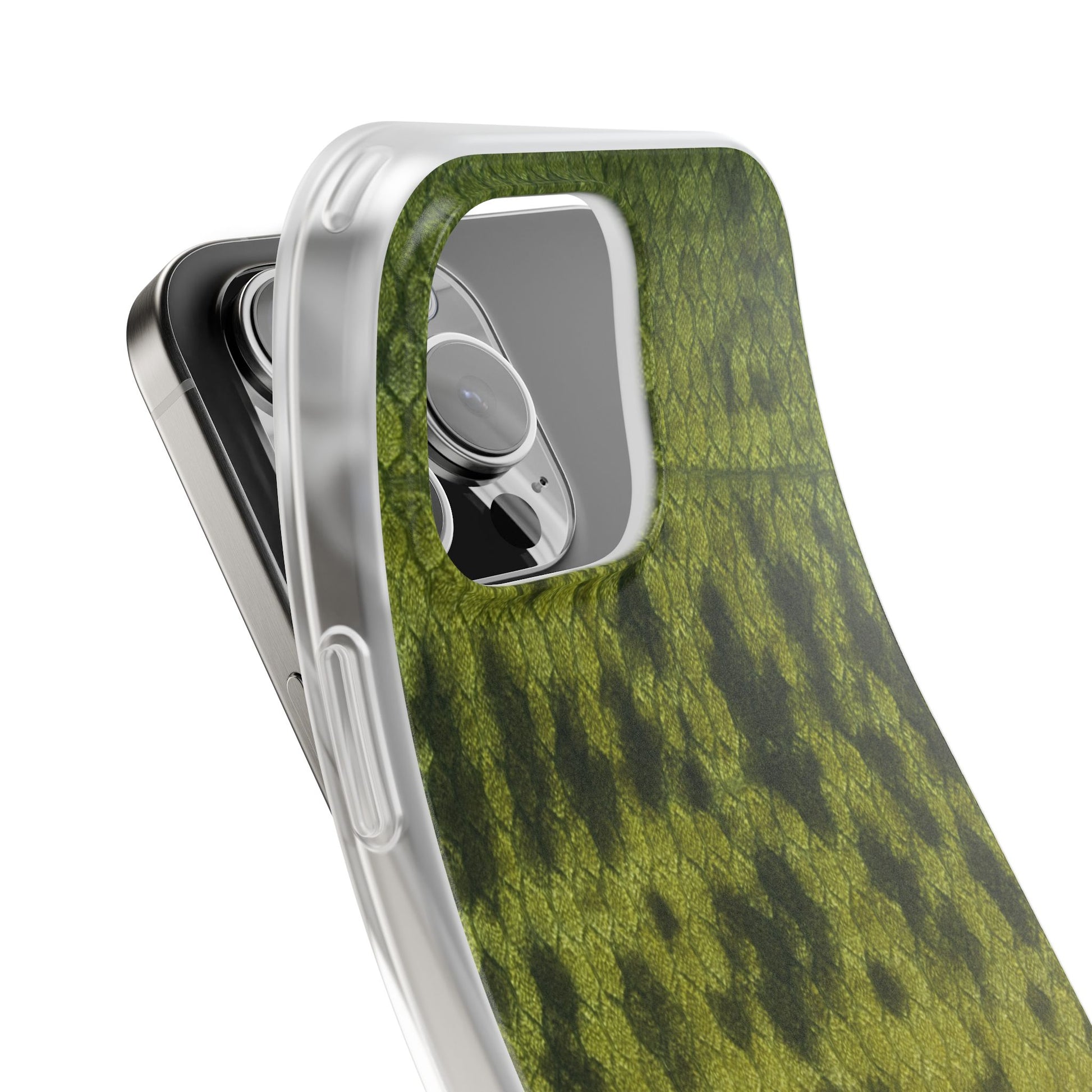 Smallmouth Bass Skin's Case