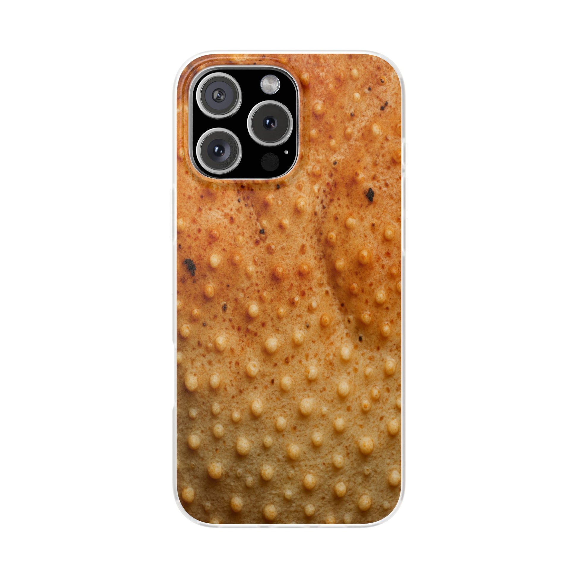 Snow Crab Skin's Case