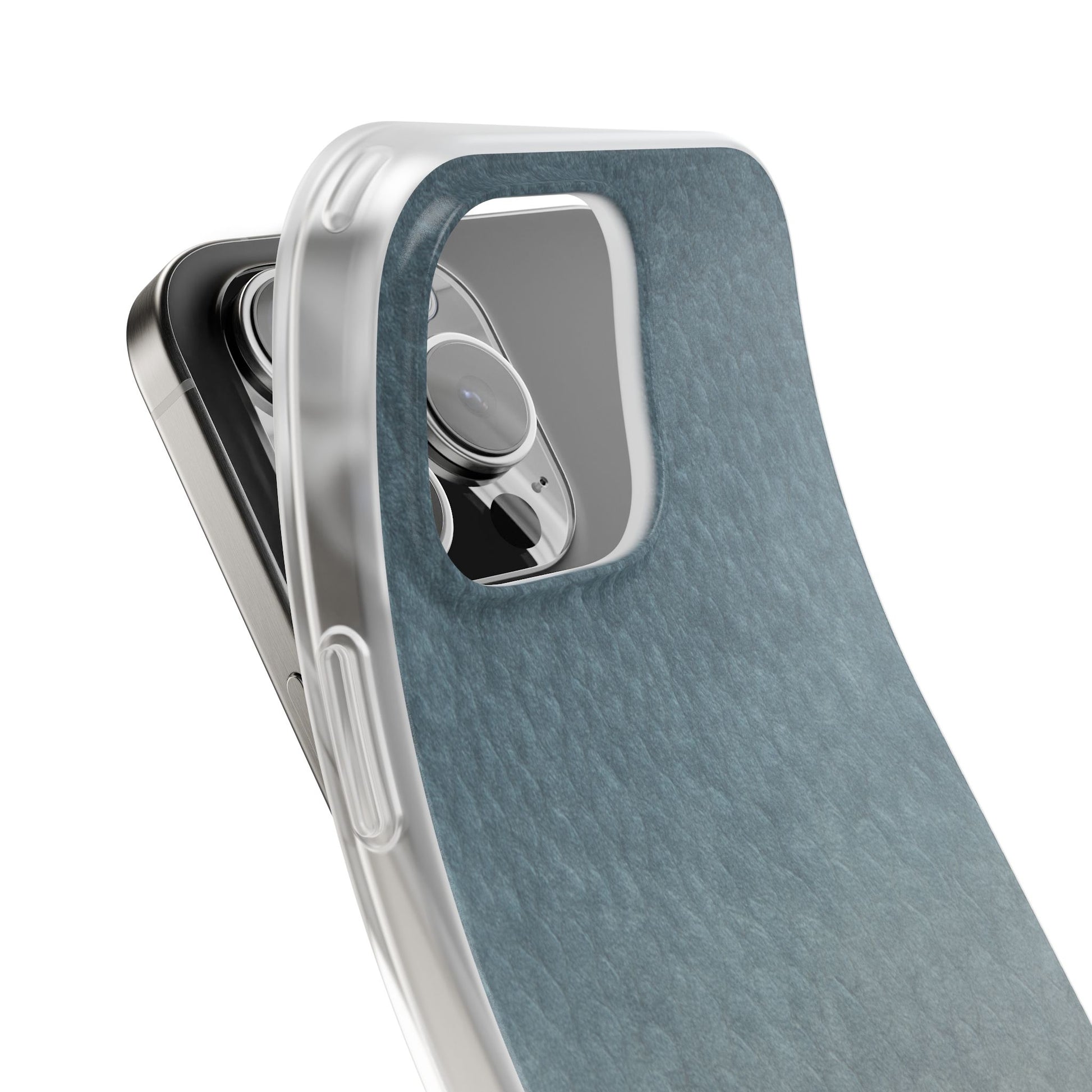 Blue Catfish Skin's Case